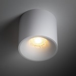 Biała lampa sufitowa Blaze z jednym źródłem LED o mocy 30W, o cylindrycznym kształcie. Widoczna żarówka LED z drobnymi oczkami, montowana na suficie, z neutralnym tłem.