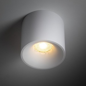 Blaze lampa sufitowa 1xLED 30W CCT biała 18161