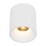 Lampa sufitowa Blaze 1xLED 12W CCT w kolorze białym, cylindryczna, z widoczną złotą oprawą żarówki. Ujęcie z dołu, pokazujące jasne światło emitowane przez lampę w minimalistycznym designie. Idealna do nowoczesnych wnętrz.