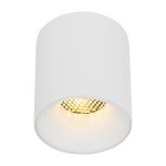 Lampa sufitowa Blaze, biała, z jedną diodą LED 12W. Okrągły kształt z matowym wykończeniem, w centralnej części widoczna siatka reflektora w kolorze złotym. Wisi pod kątem, doskonale oświetli wnętrze.