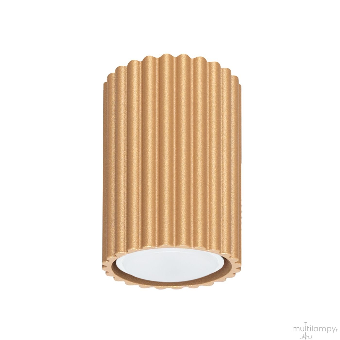Lampa sufitowa Karbon 10 l ze złotą, teksturowaną obudową w kształcie cylindrycznym, z miejscem na jedną żarówkę GU10. Ujęcie frontalne, produkt wiszący, z białym wnętrzem. Idealna do nowoczesnych wnętrz.