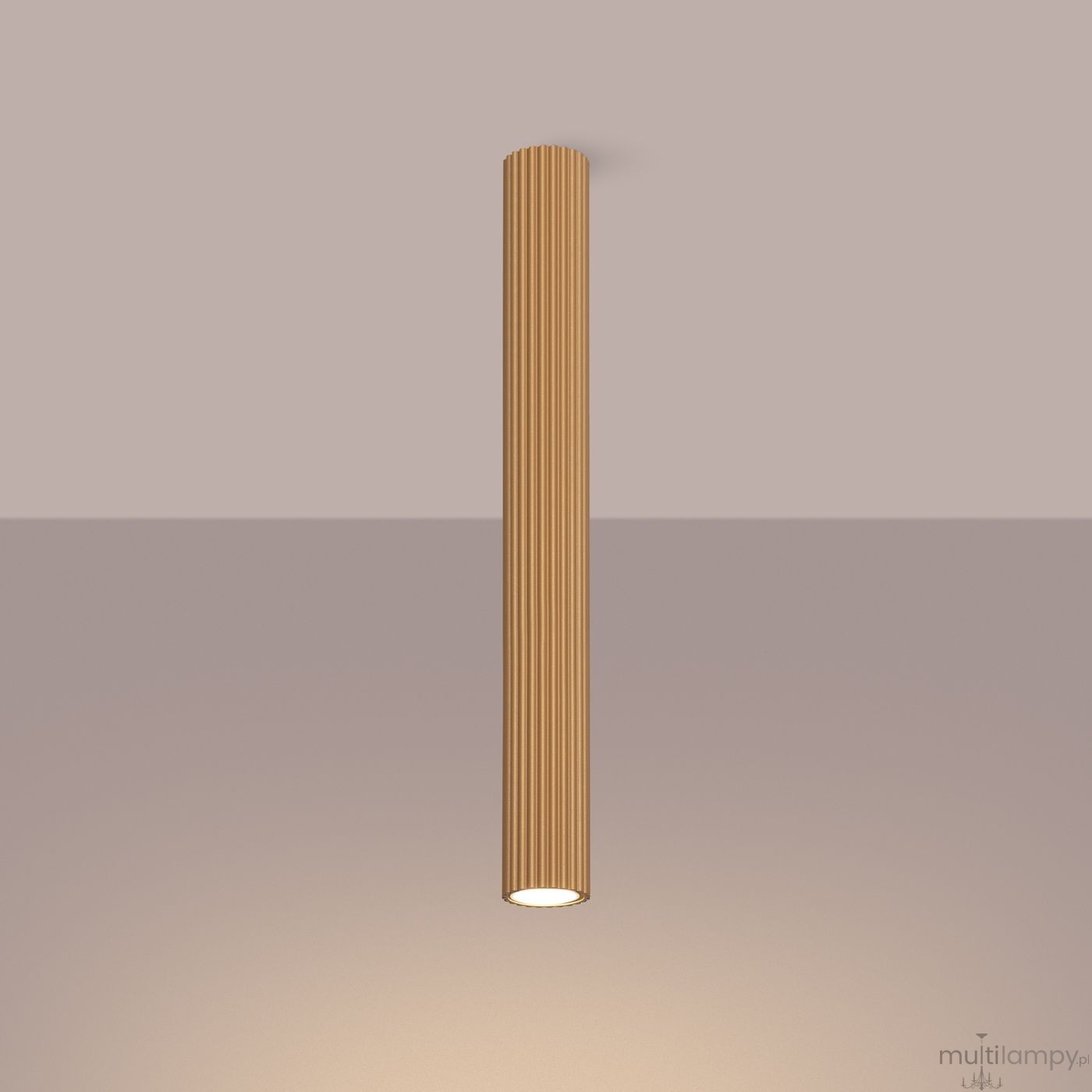 Lampa sufitowa Karbon 60 l w kolorze złotym, cylindryczna, z rowkowaną powierzchnią. Zawiera jedno gniazdo GU10. Ujęcie frontalne, zawieszona na jednolitym tle.