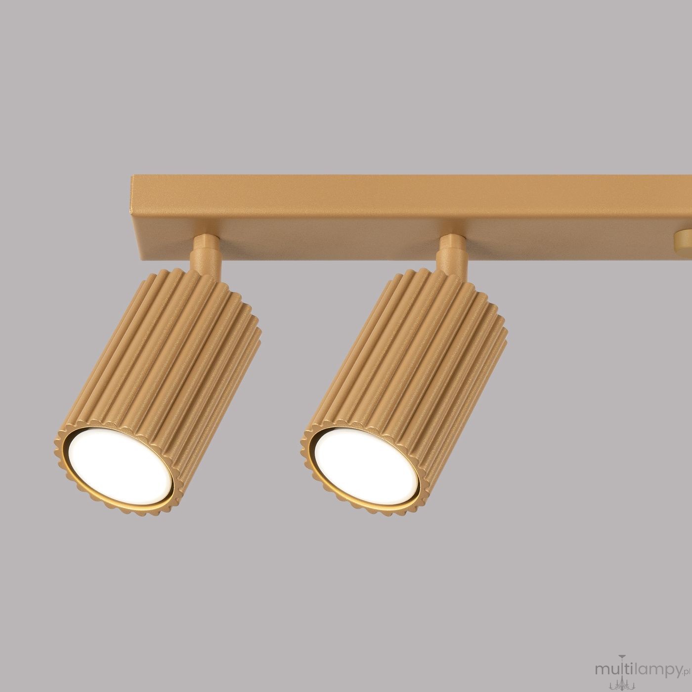 Lampa sufitowa Karbon w kolorze złotym z sześcioma reflektorami GU10. Widoczne dwa cylindryczne lampy z teksturowaną powierzchnią, zamontowane na prostokątnej podstawie. Ujęcie z przodu, na jednolitym tle.
