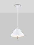 Carapari lampa wisząca 1xLED 17W biała LE44655