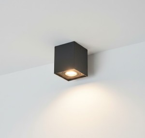 Hadar lampa sufitowa kierunkowa 1xGU10 czarna