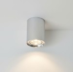 Lampa sufitowa Alfa w formie tuby, srebrna szczotkowana, zamontowana na suficie. Źródło światła skierowane w dół, widoczna okrągła oprawa. Prosta, cylindryczna forma, idealna do nowoczesnych wnętrz. Tło białe.