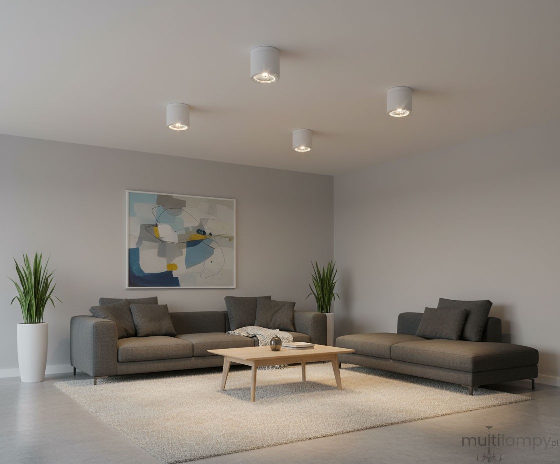 Lampa sufitowa tuba kierunkowa w kolorze białym, zamontowana na suficie. W tle widoczny nowoczesny salon z szarym narożnikiem, drewnianym stolikiem i roślinami w donicach. Ściana w stonowanej kolorystyce z abstrakcyjnym obrazem.