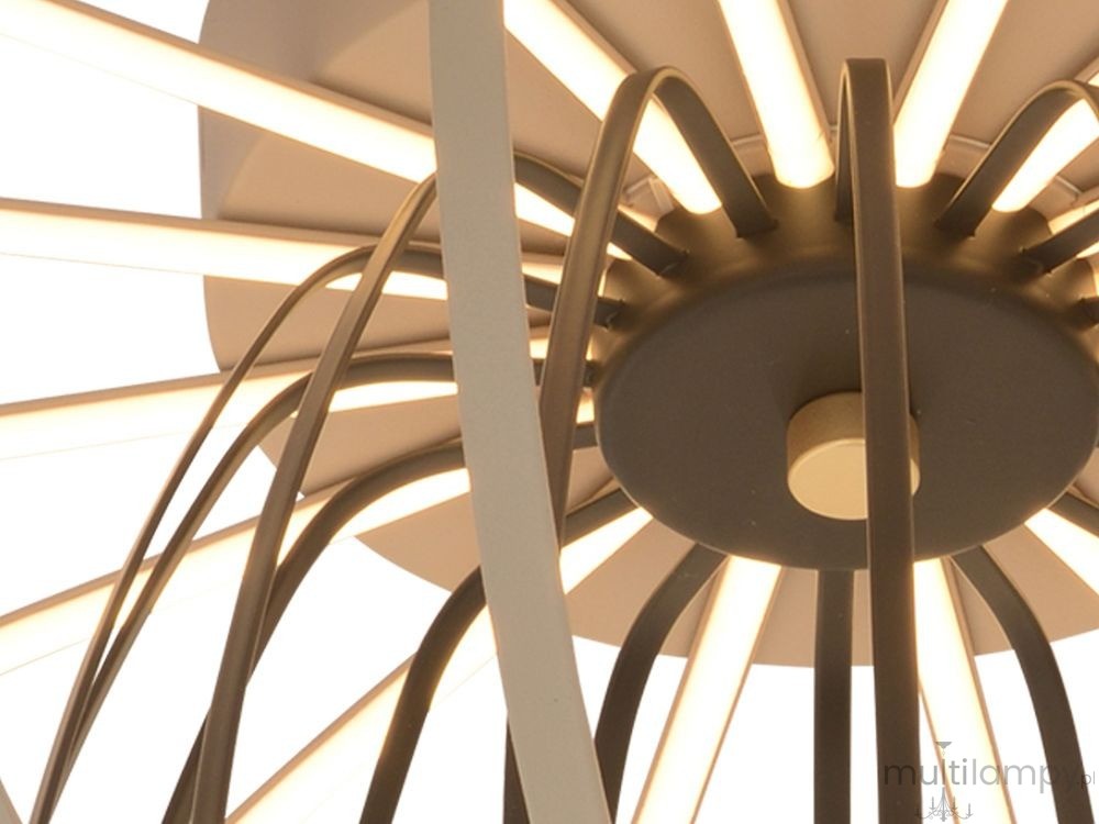 Lampa sufitowa Salo 1xLED 55W w kolorze piaskowym i czarnym, z okrągłą podstawą i wygiętymi metalowymi ramionami, emitująca ciepłe światło. Ujęcie z dołu, pokazujące detale konstrukcji oraz rozmieszczenie źródła światła.