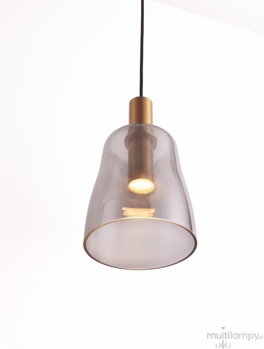 Lampa wisząca Iquitos z przezroczystym kloszem i złotym detalem, wyposażona w żarówkę LED 7W. Ujęcie z góry, lampa zwisa na czarnym przewodzie, podkreślając elegancki design.