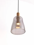 Lampa wisząca Iquitos z przezroczystym kloszem i złotym detalem, wyposażona w żarówkę LED 7W. Ujęcie z góry, lampa zwisa na czarnym przewodzie, podkreślając elegancki design.