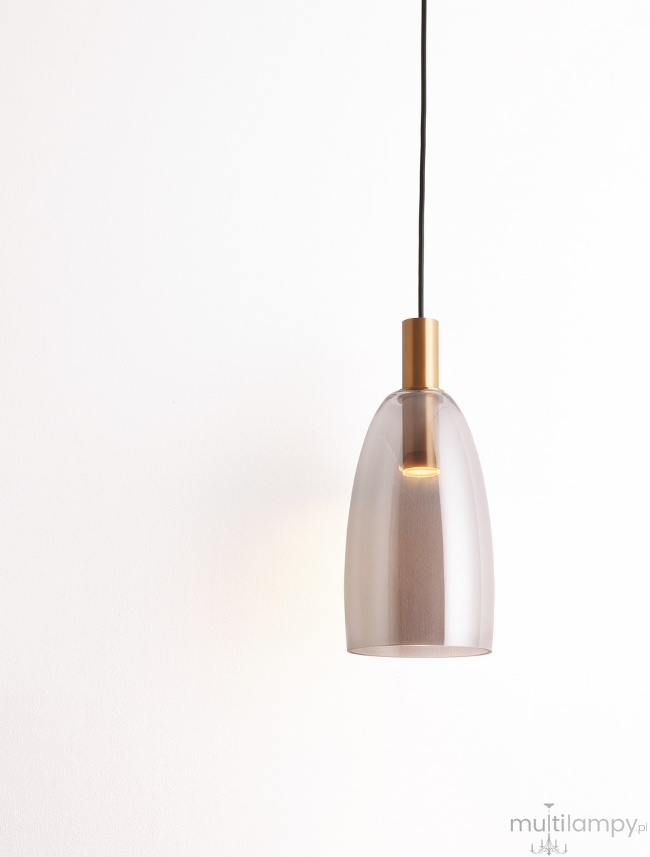 Lampa wisząca Iquitos z przezroczystym kloszem w kształcie dzwonu, złotym elementem mocującym i czarnym przewodem. Zawiera źródło światła LED 7W. Ujęcie frontalne, na jednolitym białym tle.