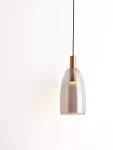 Lampa wisząca Iquitos z przezroczystym kloszem w kształcie dzwonu, złotym elementem mocującym i czarnym przewodem. Zawiera źródło światła LED 7W. Ujęcie frontalne, na jednolitym białym tle.