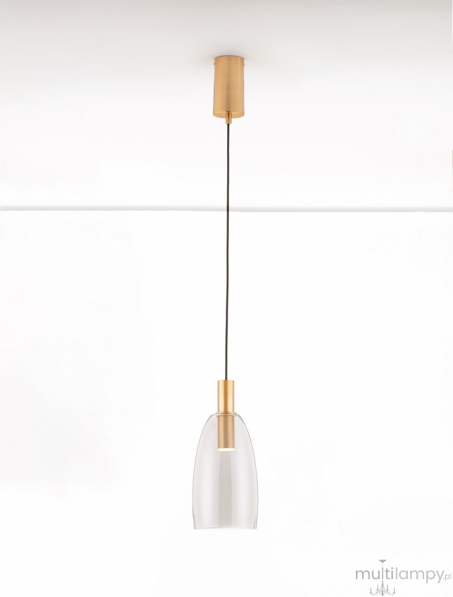 Lampa wisząca Iquitos z jednym źródłem LED 7W, z metalowym, złotym uchwytem i przezroczystym kloszem w kształcie misy, zawieszona na czarnym przewodzie, zmontowana w pionie. Tło białe, minimalistyczne.