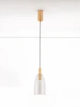 Lampa wisząca Iquitos z jednym źródłem LED 7W, z metalowym, złotym uchwytem i przezroczystym kloszem w kształcie misy, zawieszona na czarnym przewodzie, zmontowana w pionie. Tło białe, minimalistyczne.