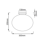 Lampa sufitowa Palla D30 w kolorze chromowanym, z pojedynczym gniazdem E27. Owalny klosz o średnicy 300 mm i wysokości 250 mm, z wąskim uchwytem o grubości 25 mm. Prosty i nowoczesny design, idealny do różnych wnętrz.