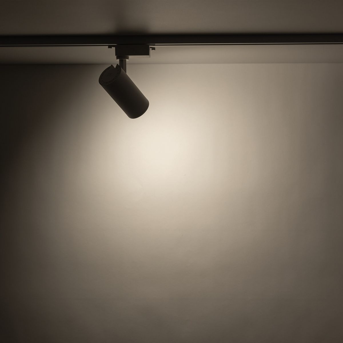 Reflektor spot Tracer 1xGU10 w kolorze białym, zamocowany na szynie 1-fazowej. W kształcie cylindrycznym, skierowany w dół, emitujący jasne światło na jednolitym tle.