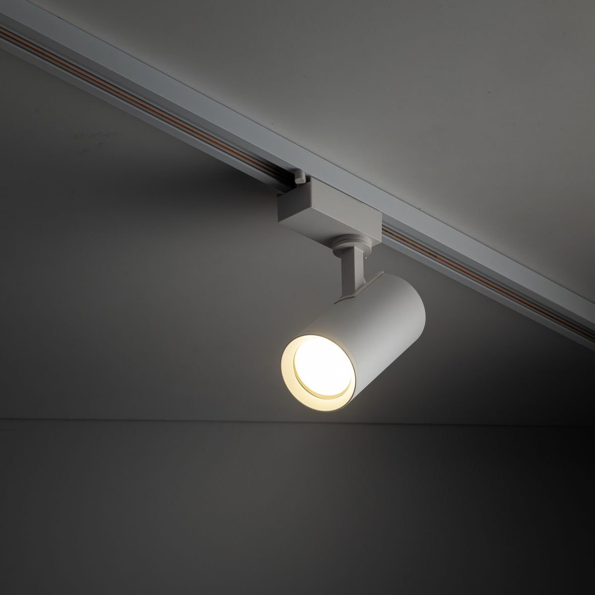 Reflektor spot Tracer 1xGU10 w kolorze białym, zamontowany na szynie 1-fazowej. Okrągła głowica lampy skierowana w dół, emitująca jasne światło. Prosty, minimalistyczny design, umieszczony na szarym tle.