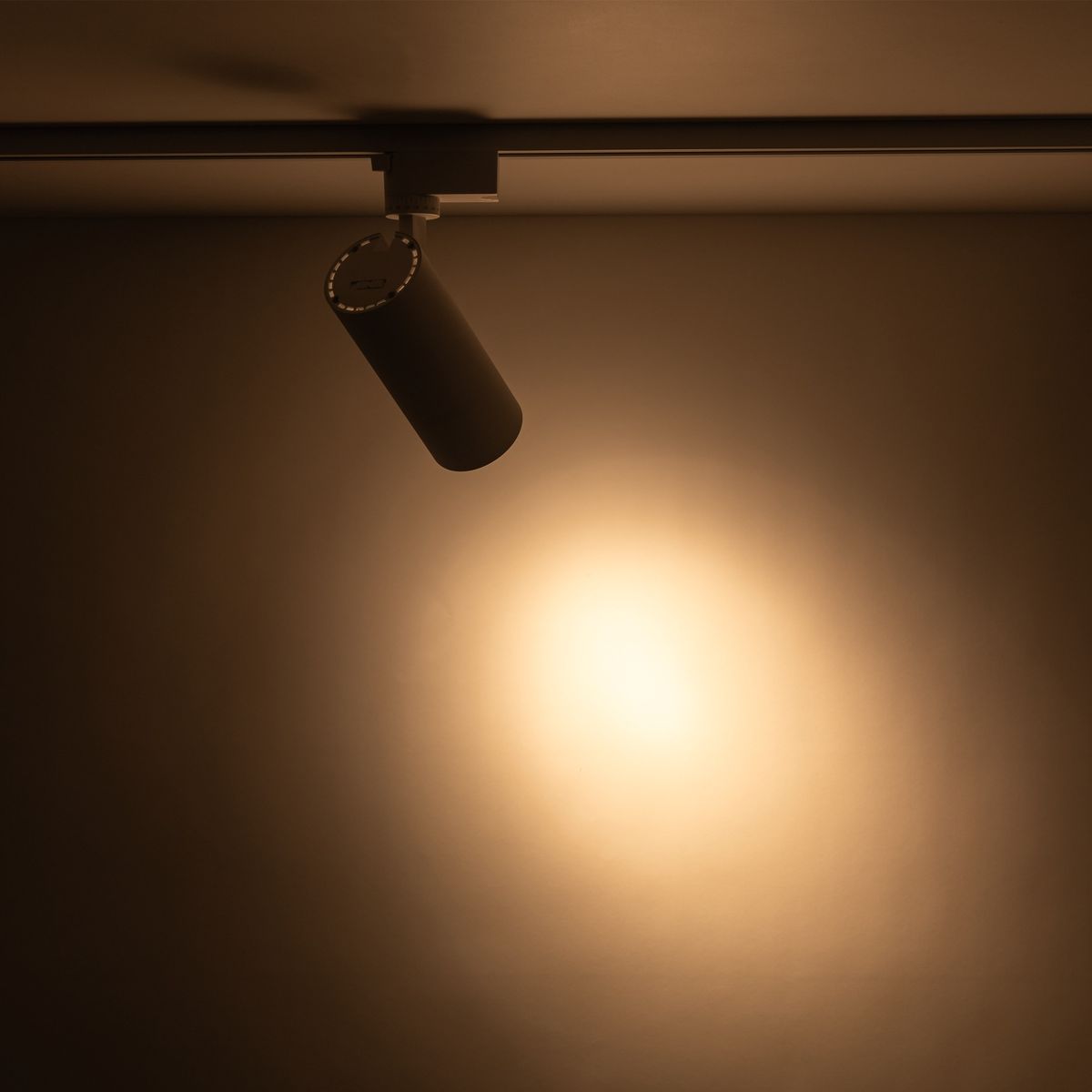Reflektor Tracer 1xLED 20W CCT, biały, zamocowany na szynie 1-fazowej, skierowany w dół. Emituje ciepłe światło, oświetlające ścianę w tle. Kształt cylindryczny, z widocznym uchwytem montażowym.