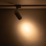 Reflektor Tracer 1xLED 20W CCT, biały, zamocowany na szynie 1-fazowej, skierowany w dół. Emituje ciepłe światło, oświetlające ścianę w tle. Kształt cylindryczny, z widocznym uchwytem montażowym.