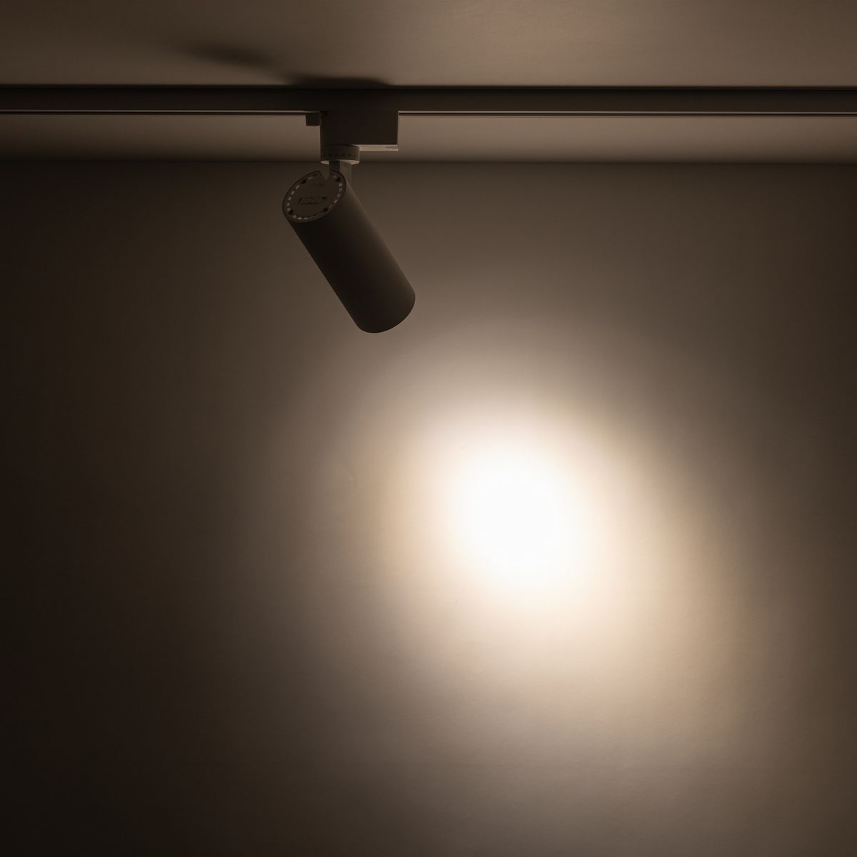 Reflektor spot Tracer 1xLED 10W CCT w kolorze białym, zamontowany na szynie 1-fazowej, skierowany w dół. Emituje światło na ścianę, tworząc okrągły, jasny punkt o miękkich krawędziach na tle ciemnej powierzchni.