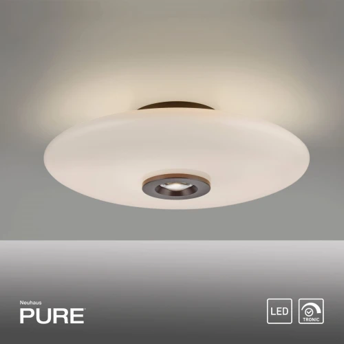 Paul Neuhaus Pure Vitrum lampa sufitowa 1xLED 17W metaliczny brąz 6083 ...