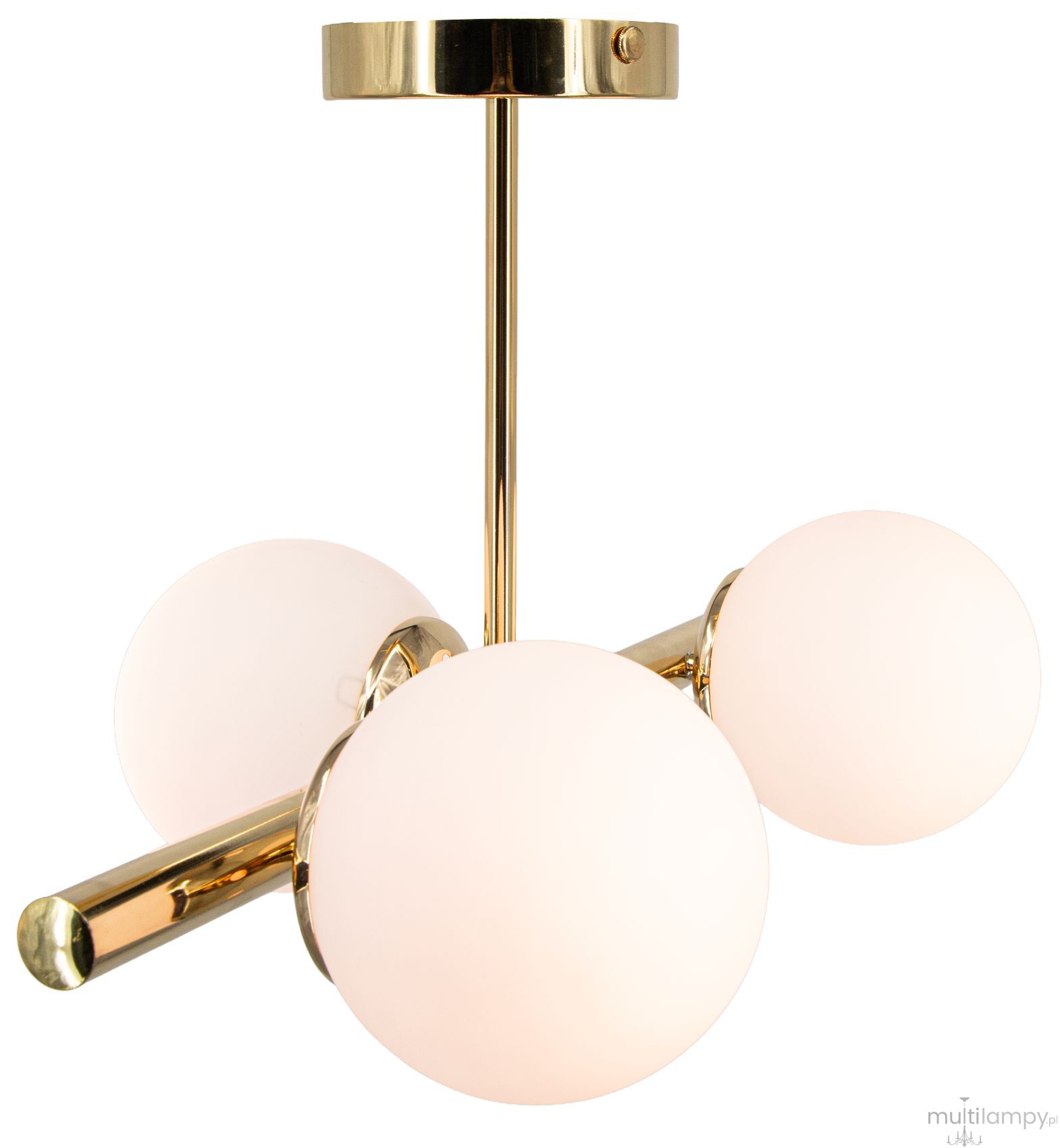 Lampa sufitowa Otis 3xE27 w kolorze złotym z trzema okrągłymi kloszami z mlecznego szkła. Ujęcie z góry, produkt zamontowany na suficie, podkreślający nowoczesny design oraz elegancki wygląd.