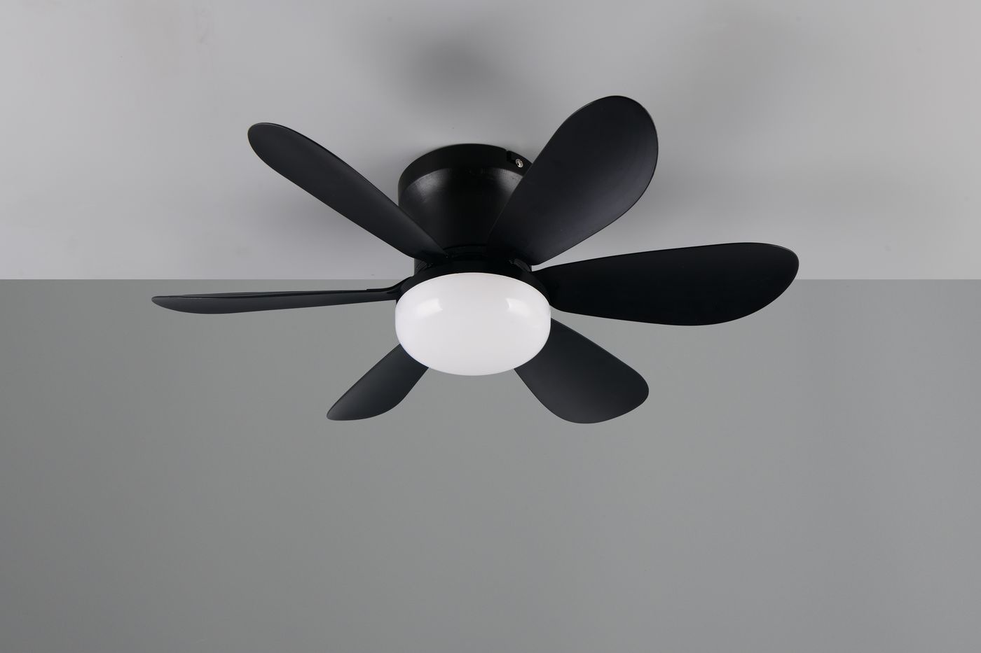 Czarna lampa sufitowa z wentylatorem, wyposażona w pięć skrzydeł oraz okrągły klosz LED o mocy 10W, umieszczona na suficie. Pilot do zdalnego sterowania widoczny w kontekście użytkowania. Tło szare, minimalistyczne.