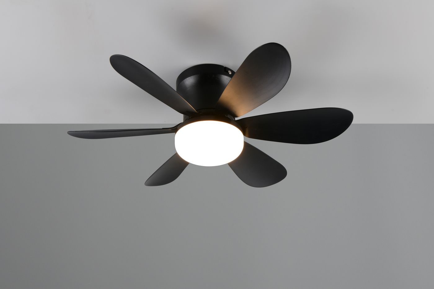 Czarna lampa sufitowa z wentylatorem, 1xLED 10W CCT, z okrągłą oprawą świetlną i pięcioma łopatkami. Ujęcie z dołu, pokazujące wentylator w pełnej pozycji. Tło w odcieniach szarości, co podkreśla design lampy.