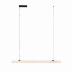 Czarna lampa wisząca Fayette z jedną diodą LED 20W, stopień ochrony IP44. Posiada prostokątny, matowy klosz oraz długi, cienki kabel. Ujęcie frontalne, produkt zawieszony w pionie na białym tle.