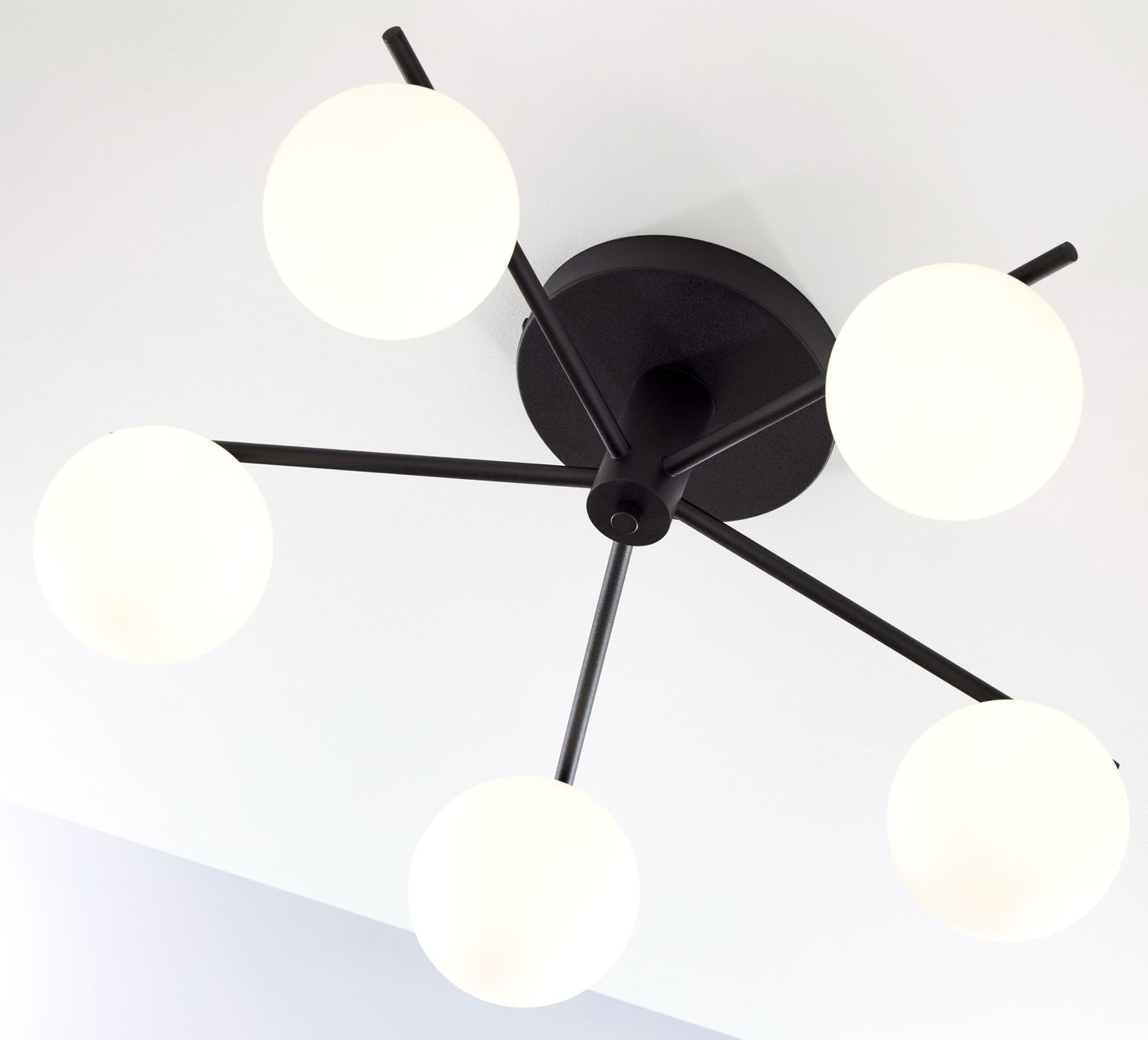Lampa sufitowa Prato w kolorze czarnym, z pięcioma białymi okrągłymi kloszami, zamontowana na okrągłej podstawie. Klosze rozmieszczone na cienkich ramionach, widok z dołu, podkreślający nowoczesny design.