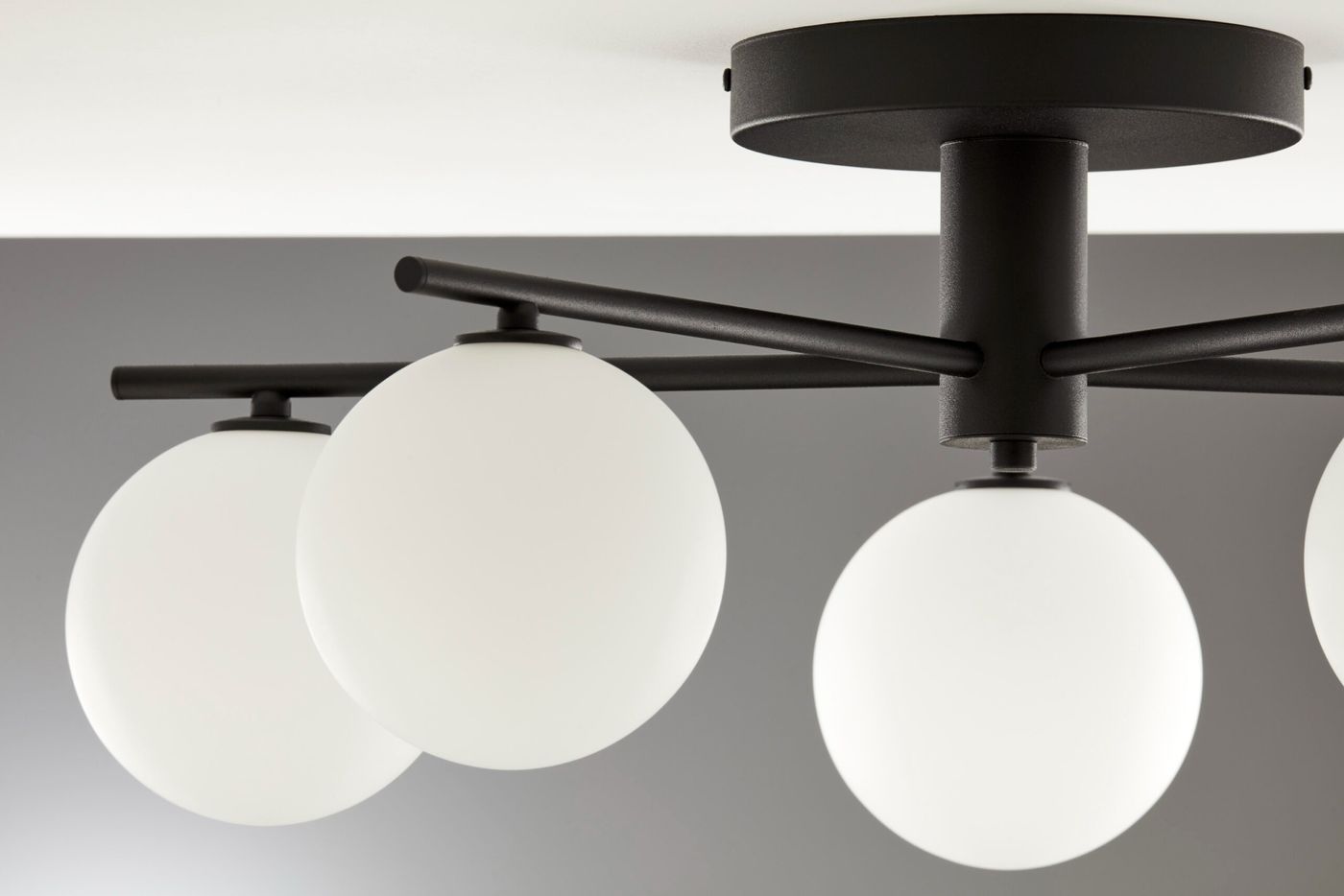 Lampa sufitowa Prato w kolorze czarnym z pięcioma okrągłymi kloszami z białego matowego szkła. Ujęcie z dołu, ukazujące detale mocowania i rozłożenie ramion, które trzymają klosze. Prosta konstrukcja, idealna do nowoczesnych wnętrz.