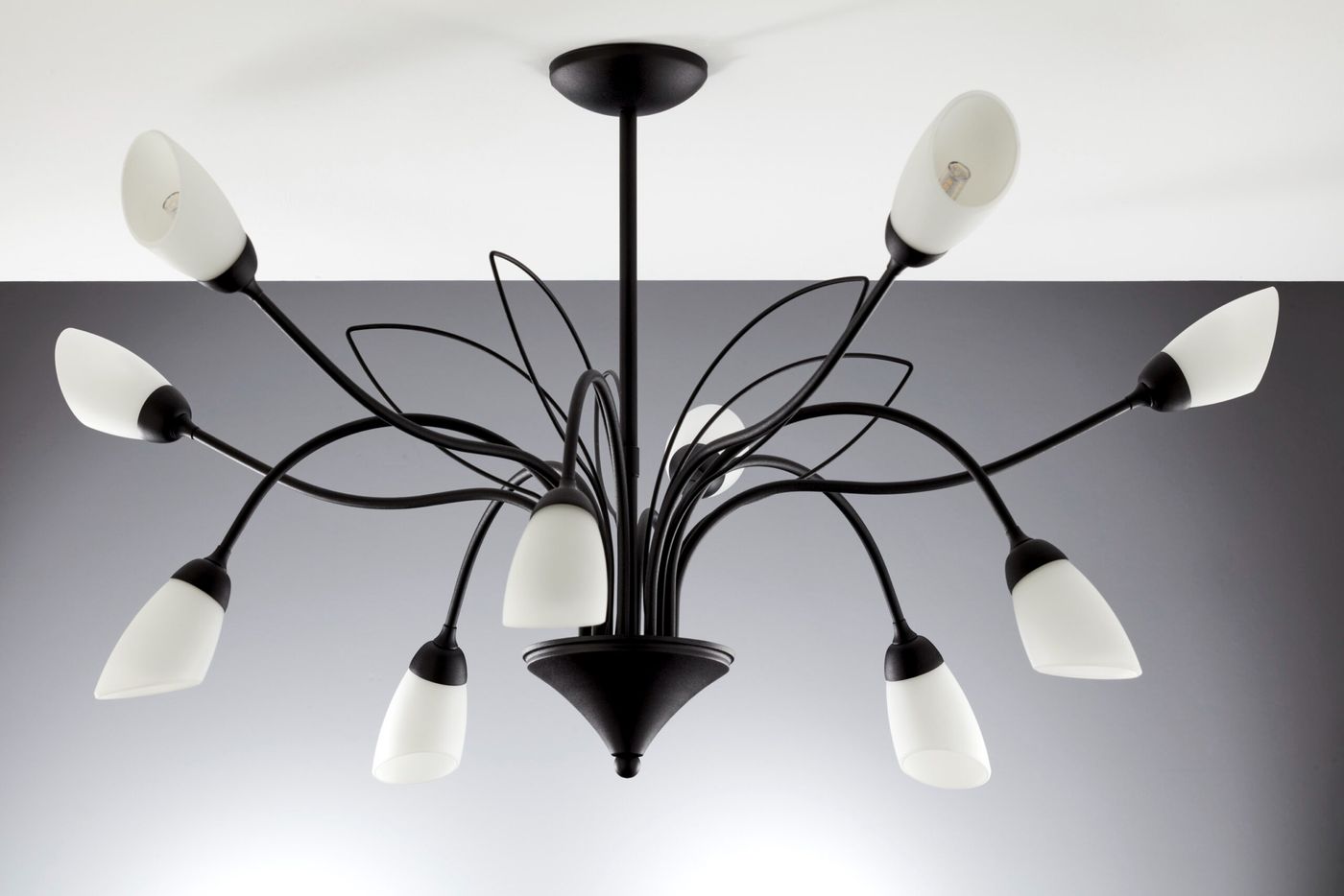 Żyrandol Gloriosa w kolorze czarnym i białym, z dziesięcioma kloszami G9. Posiada smukłe, zakrzywione ramiona, które układają się w elegancki wzór. Klosze z mlecznego szkła, umieszczone na końcach ramion, rozpraszają światło w delikatny sposób.