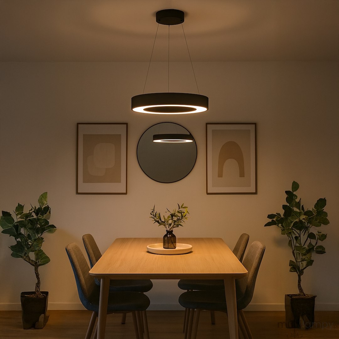 Lampa wisząca LED Union 40W CCT w kolorze czarnym, okrągła, zawieszona nad drewnianym stołem. W tle widoczne są rośliny doniczkowe oraz dekoracyjne obrazy na ścianie. Oświetlenie tworzy przytulną atmosferę w aranżacji wnętrza.