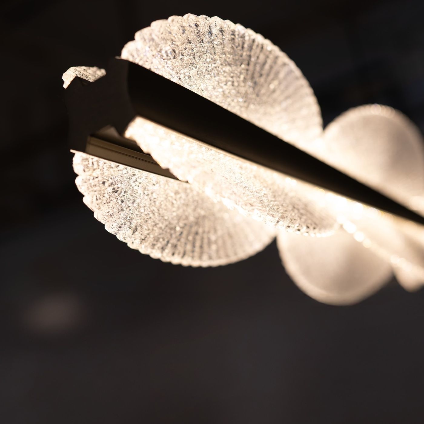 Lampa wisząca Pond 1xLED 58W w kolorze szampanowym. Oświetlenie z przezroczystymi, teksturowanymi kloszami w kształcie okręgów, zawieszona poziomo, z widocznym źródłem światła.