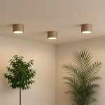 Lampa sufitowa Dixie w kolorze kaszmiru, z jedną oprawą na żarówkę GX53. Zawieszona na suficie, obok zielonych roślin. Okrągły kształt z matowym wykończeniem, emitująca ciepłe światło, w minimalistycznym wnętrzu.