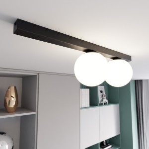 Fit lampa sufitowa 2-punktowa czarna/biała 1124/2