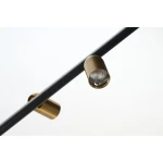 Lampa wisząca Trasimeno z czarnym metalowym stelażem i dwoma reflektorami LED w kolorze złotym. Reflektory są umieszczone na poziomej rurze, zapewniając nowoczesny design i funkcjonalność.