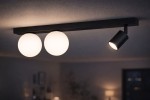 Czarna lampa sufitowa Swing z jedną oprawą GU10 i dwiema oprawami G9, zawieszona na prostokątnej konstrukcji. Dwa okrągłe klosze z matowego szkła obok jednego regulowanego reflektora. Produkt zamontowany na suficie, w tle delikatne oświetlenie wnętrza.