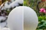 Biała lampa solarna ogrodowa Ballo w kształcie kuli o średnicy 25 cm i wysokości 60 cm, wykonana z materiału odpornego na warunki atmosferyczne. Widoczna w kontekście deszczu, z kroplami wody na powierzchni, otoczona zielonymi roślinami.