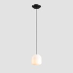 Lampa wisząca Flask Orchid D18 z kloszem w kolorze białym, o matowej fakturze, zawieszona na czarnym przewodzie. Kształt klosza przypomina sześcian z zaokrąglonymi krawędziami. Montaż sufitowy z płaską, okrągłą podstawą.