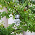 Lampka wisząca solarna Glovi 6000K w kształcie okrągłej, przezroczystej kulki, zawieszona na gałęzi drzewa. Posiada metalowy uchwyt oraz srebrną podstawę. Otoczona zielonymi liśćmi, co podkreśla jej naturalny kontekst użytkowania.