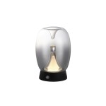 Lampa stołowa LED Pamela 2W CCT w czarnej podstawie, z przezroczystym kloszem o owalnym kształcie. Emituje ciepłe światło, z przyciskiem włączania na podstawie. Ujęcie frontalne, produkt leżący na płaskiej powierzchni.