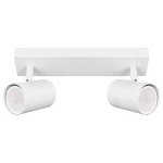 Lampa sufitowa Richi w kolorze białym z dwoma reflektorami GU10. Reflektory okrągłe, zamontowane na prostokątnej podstawie, skierowane w różnych kierunkach. Prosty, nowoczesny design, idealna do oświetlenia wnętrz.