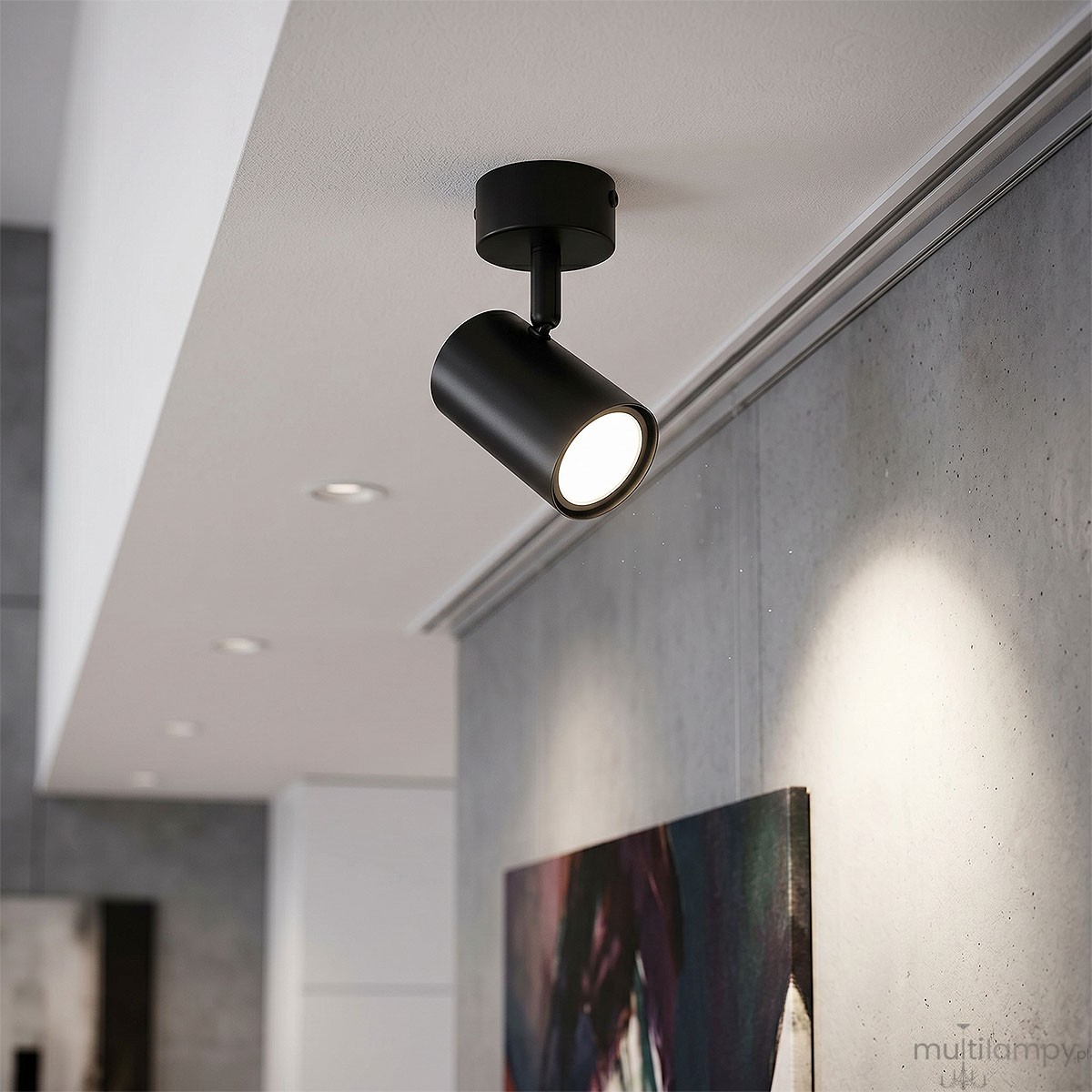 Lampa sufitowa Richi w kolorze czarnym, z regulowanym reflektorem w kształcie cylindrycznym. Umożliwia skierowanie światła w wybranym kierunku. Montaż sufitowy. Metalowa konstrukcja o matowej powierzchni.