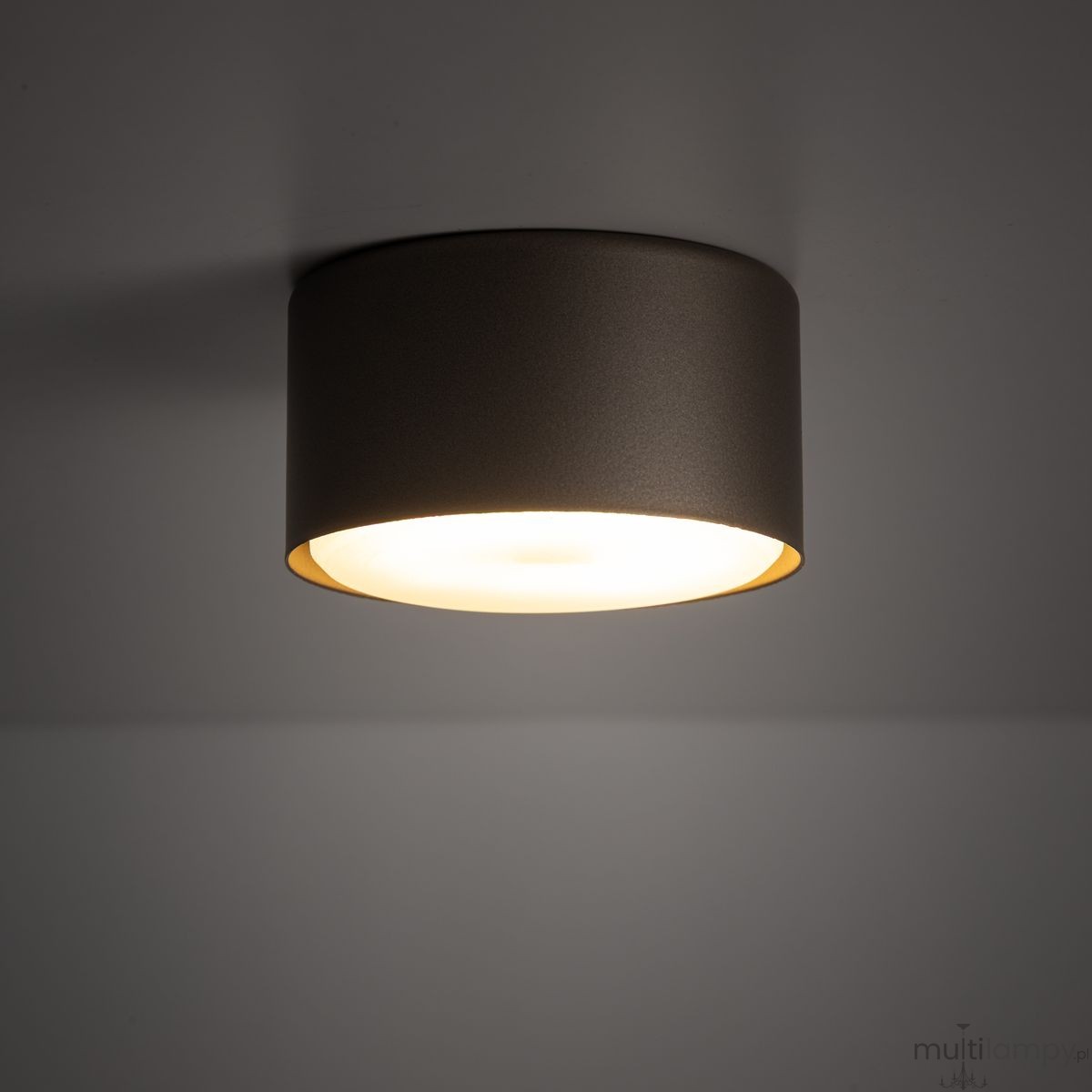 Top lampa sufitowa 1xGX53 szarobrązowa 11062