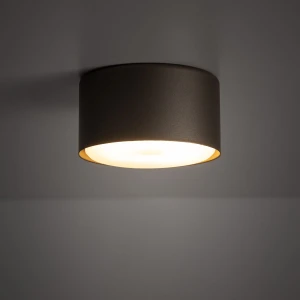 Top lampa sufitowa 1xGX53 szarobrązowa 11062