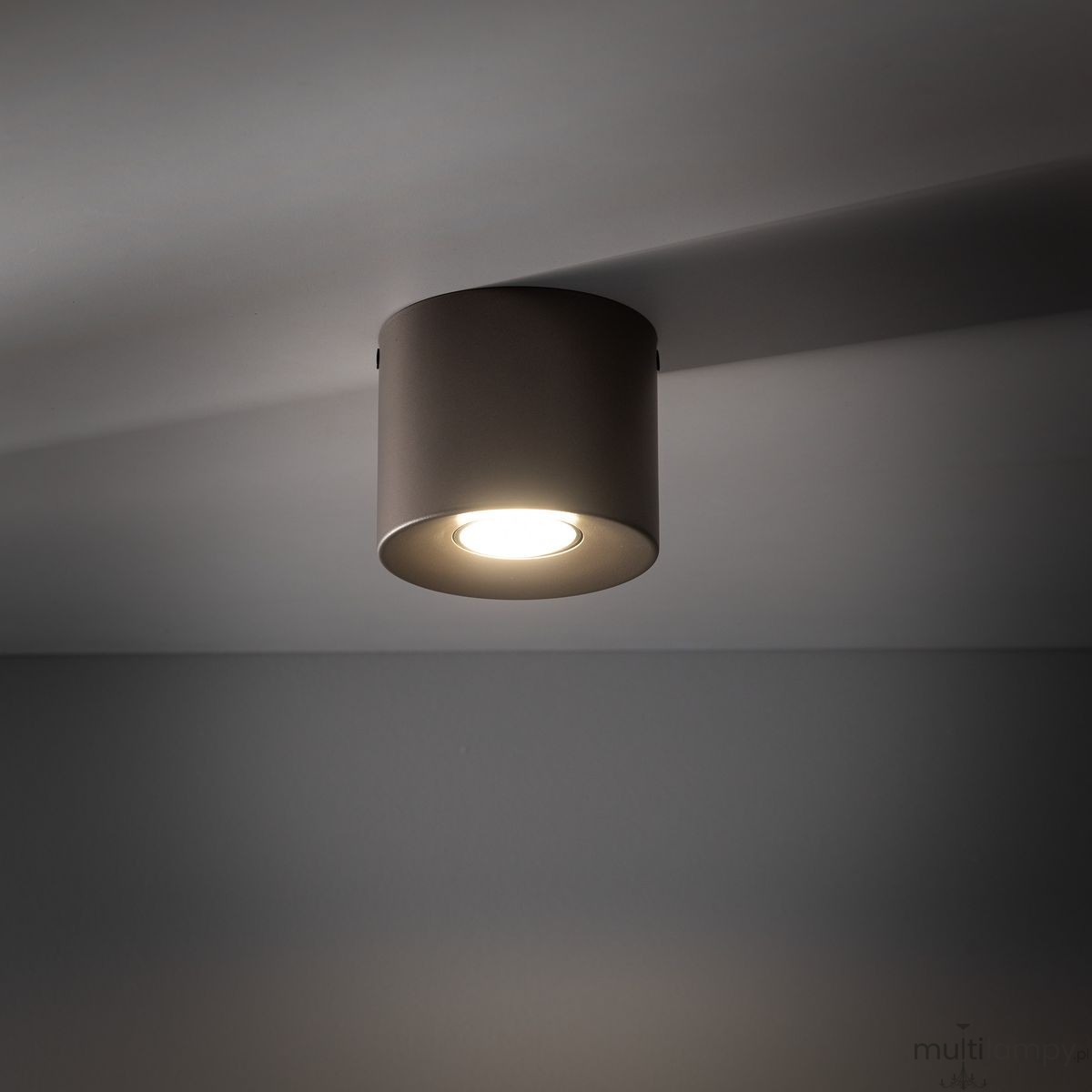 Orion lampa sufitowa 1-punktowa szarobrązowa 11340