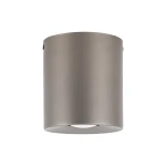 Orion lampa sufitowa 1-punktowa szarobrązowa 11341