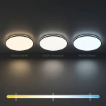 Hugo D29,5 plafon LED 12W/18W/24W CCT IP54 czarny ML2564