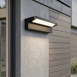 Coreo kinkiet elewacyjny kierunkowy LED 36W CCT czarny